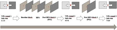 Sensory-Induced Human LTP-Like Synaptic Plasticity – Using Visual Evoked Potentials to Explore the Relation Between LTP-Like Synaptic Plasticity and Visual Perceptual Learning